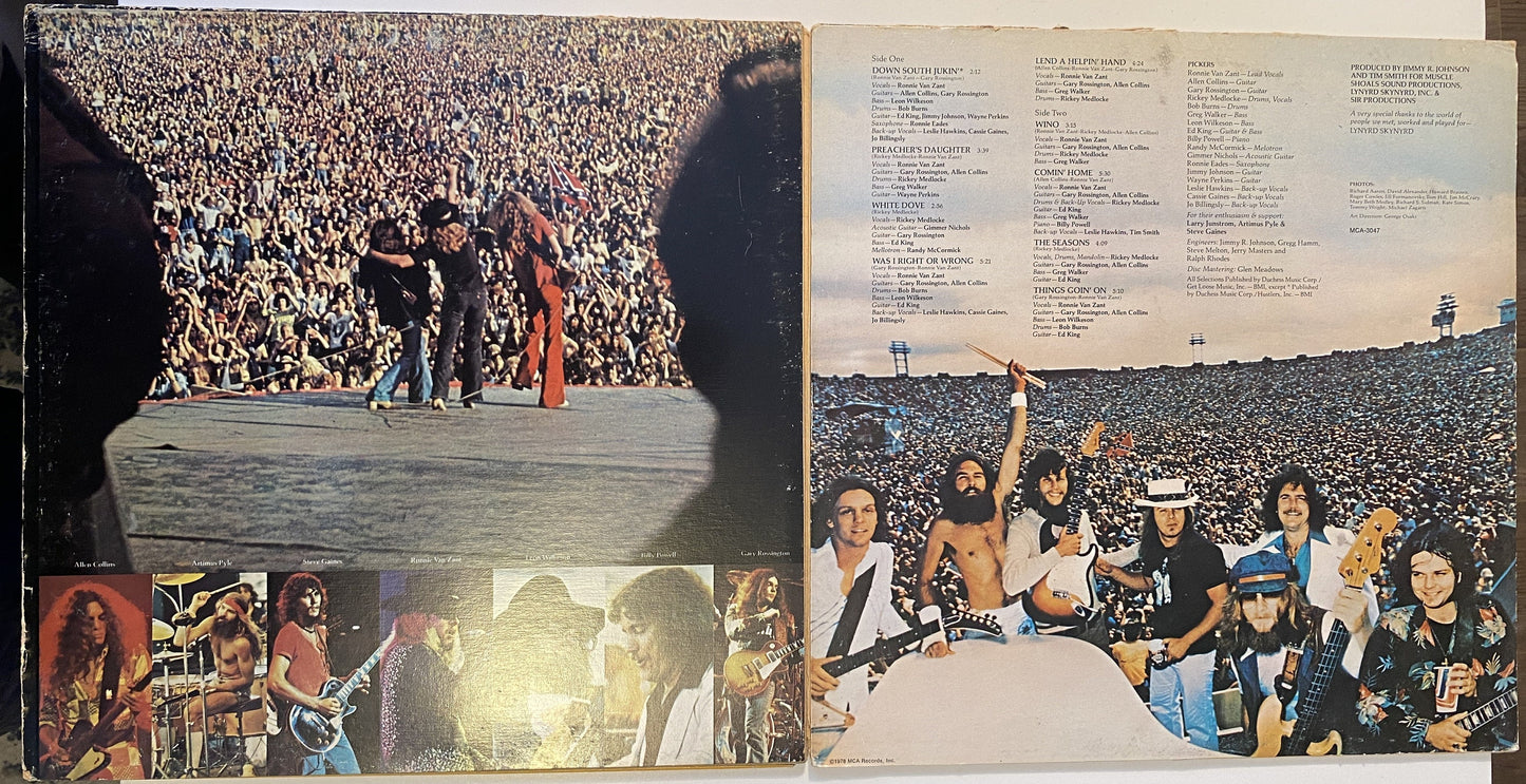 Lynyrd Skynyrd's First And Last 1978 Vinyl LP Record
