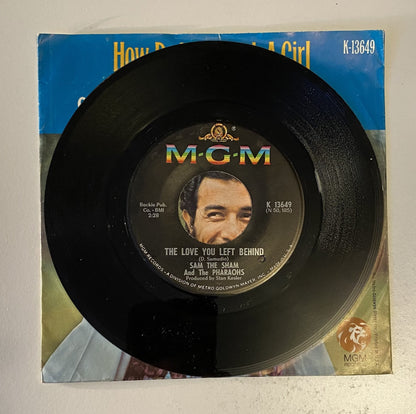 Sam the Sham and the Pharaohs - How Do You Catch a Girl - 45 Vinyl LP 1967