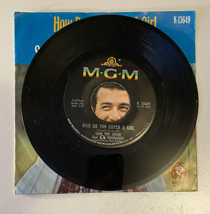 Sam the Sham and the Pharaohs - How Do You Catch a Girl - 45 Vinyl LP 1967