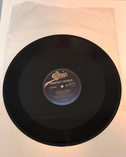 Perfect World - Vacation in Black 1986 Vinyl Record