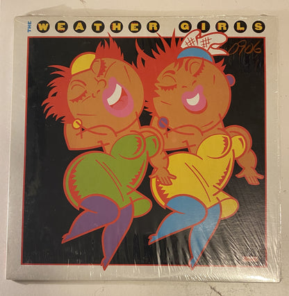 The Weather Girls 1988 Vinyl LP