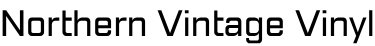 Text 'Northern Vintage Vinyl' in black on a white background