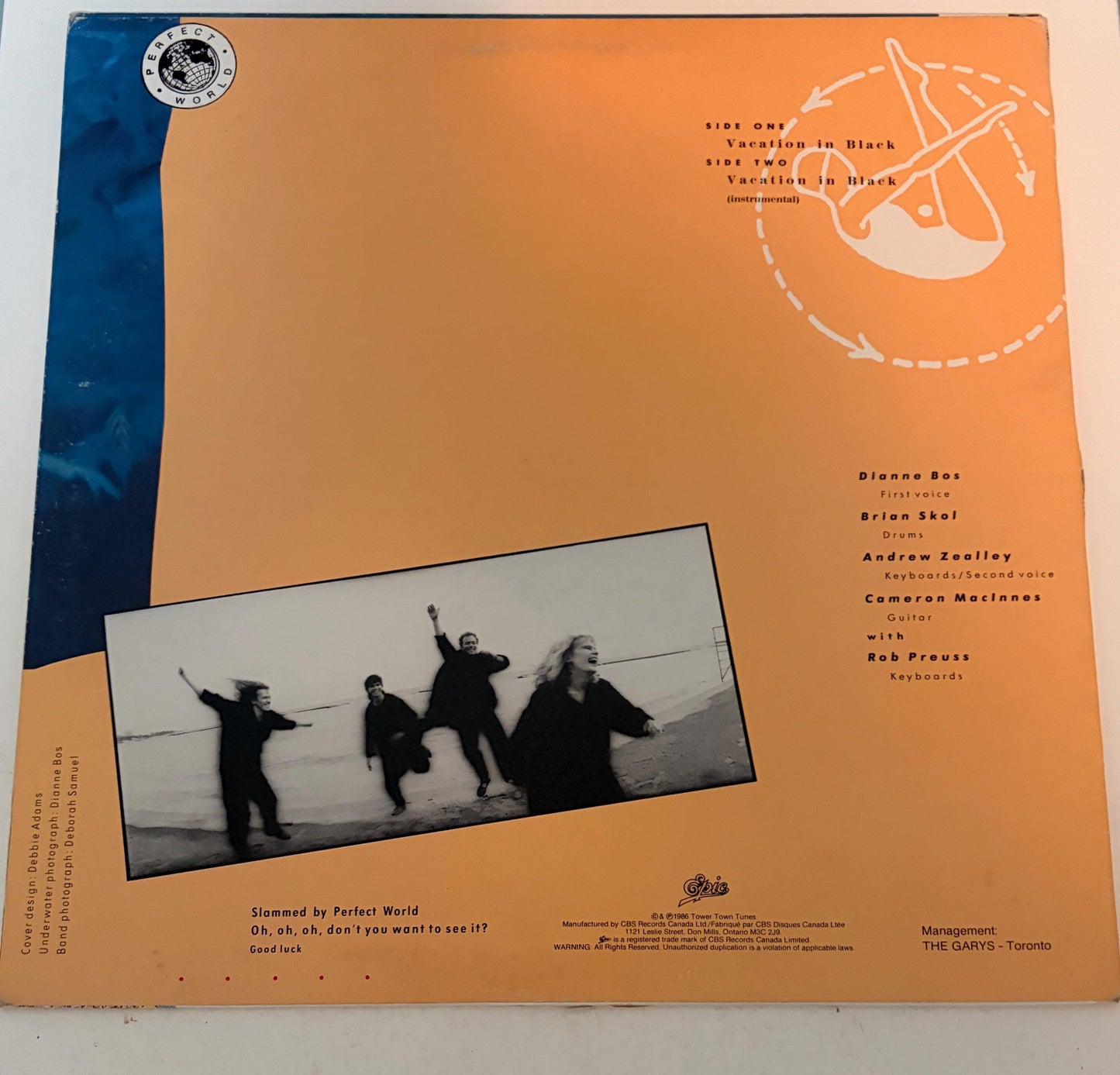Perfect World - Vacation in Black 1986 Vinyl Record