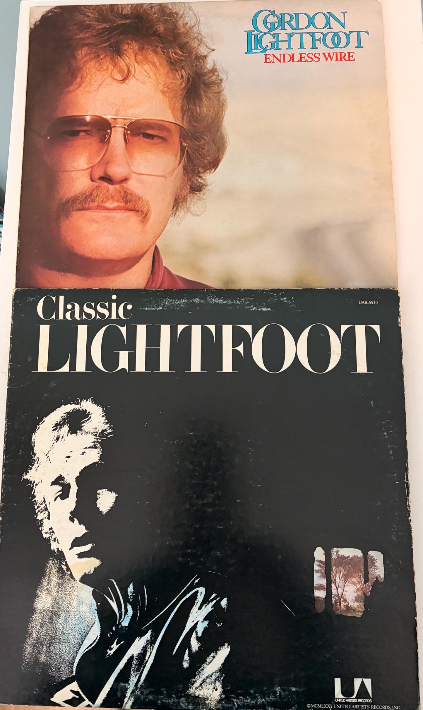 Gordon Lightfoot -2 Vinyl Records - Endless Wire & Classic Lightfoot
