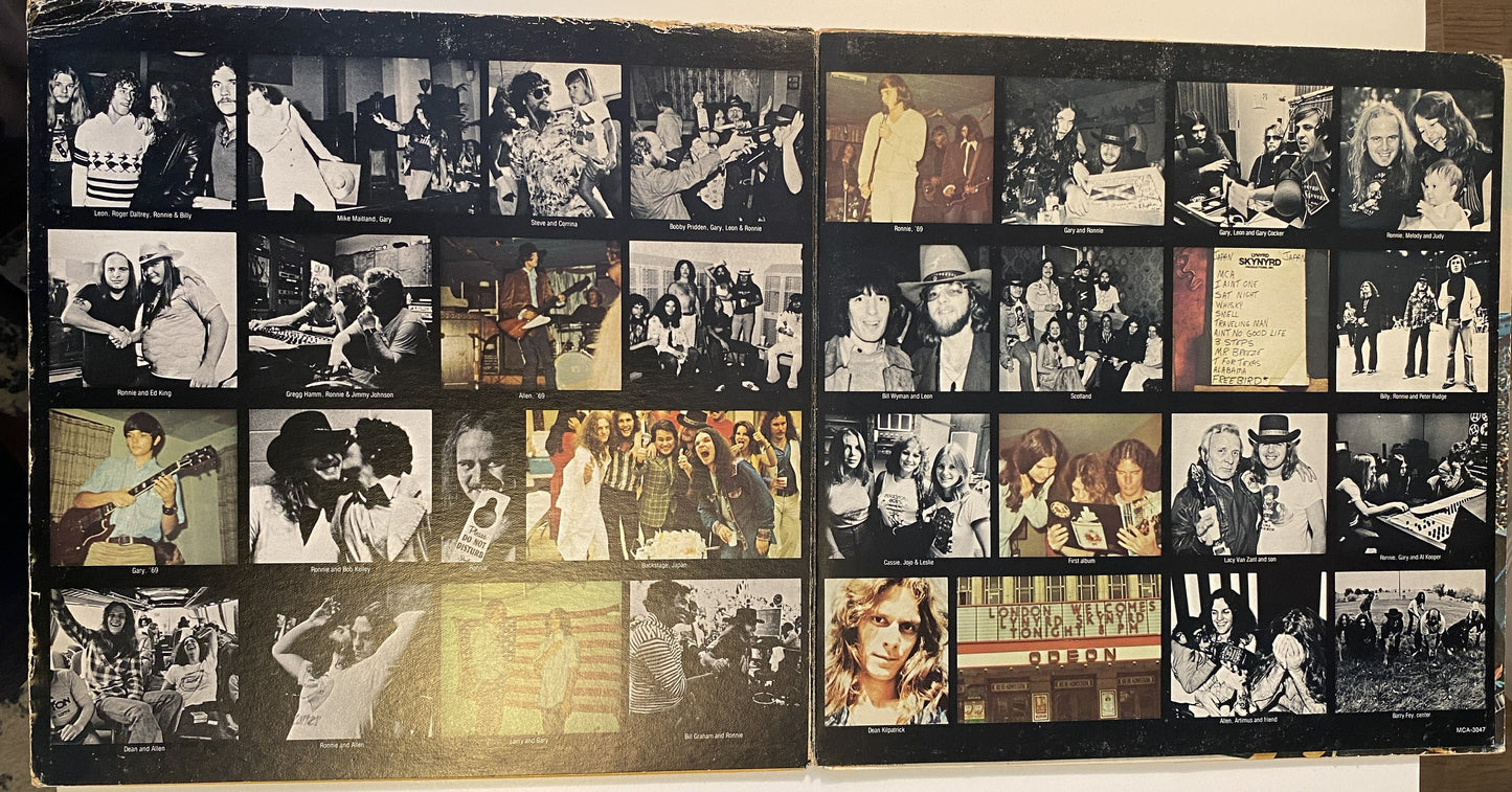 Lynyrd Skynyrd's First And Last 1978 Vinyl LP Record
